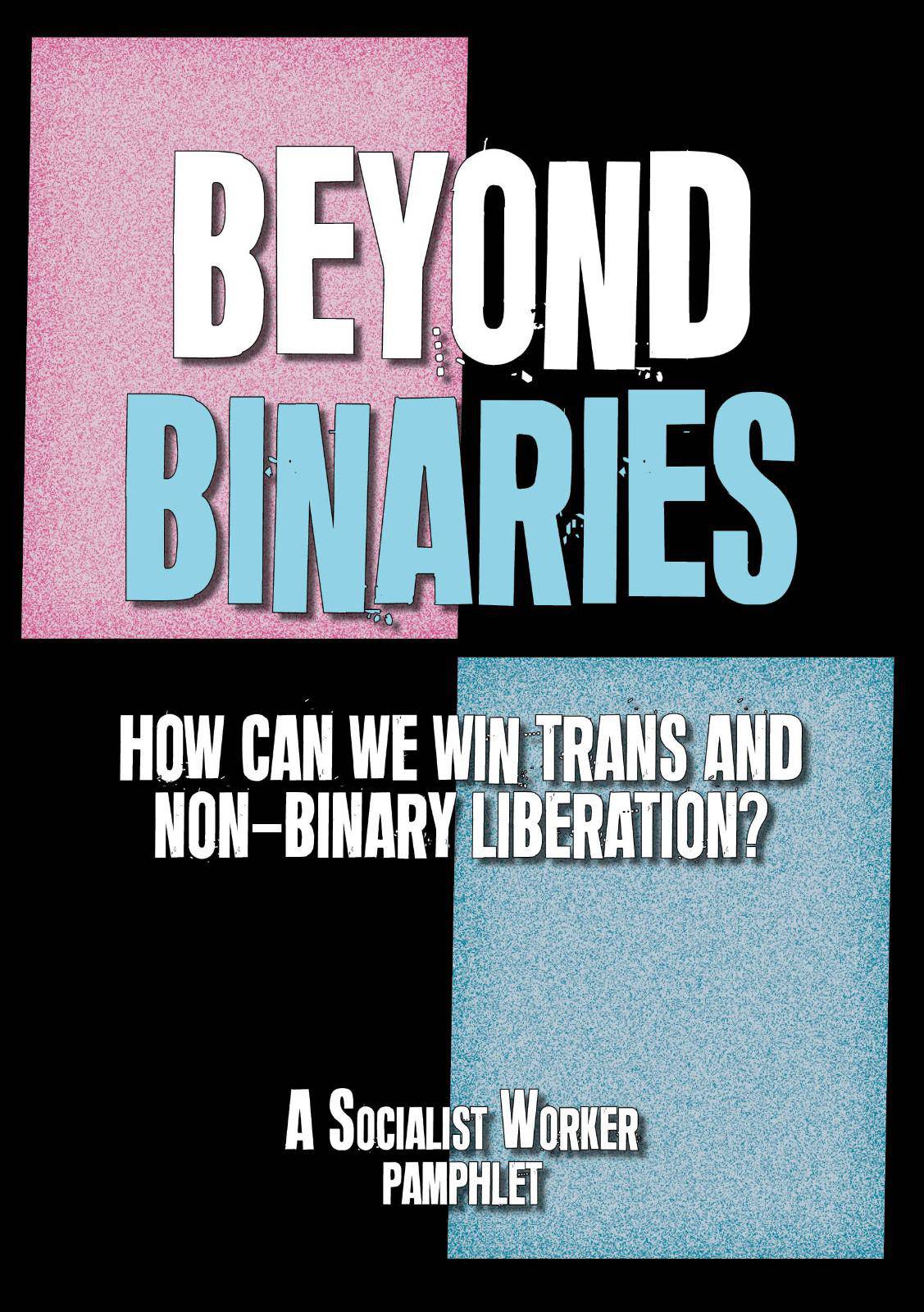 Beyond Binaries: How can we win trans+ liberation?